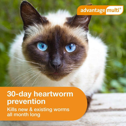 Advantage Multi for Cats 5.1-9 lbs