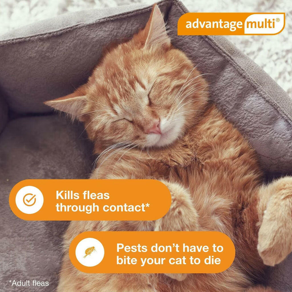 Advantage Multi for Cats, 9.1-18 lbs