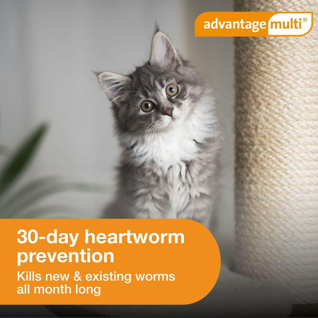 Advantage Multi for Cats, 2-5 lbs