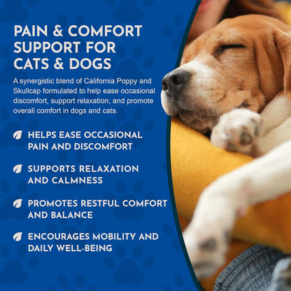 Animal Essentials Herbal Tonic Comfort Plus Manages Discomfort & Stress for Dogs & Cats - Dog Supplements & Vitamins 6