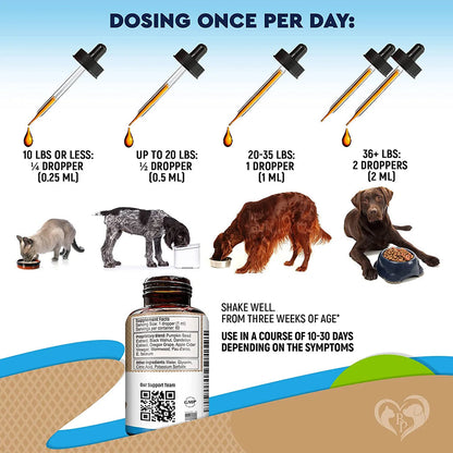Beloved Pets Dewo with Probiotics Natural Intestinal Defense for Cats & Dogs (2 oz)