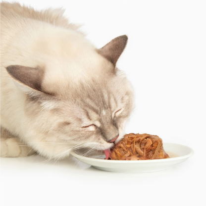 Catit Chicken Dinner with Liver & Sweet Potato Wet Cat Food (2.8 oz) - Cat Food 3