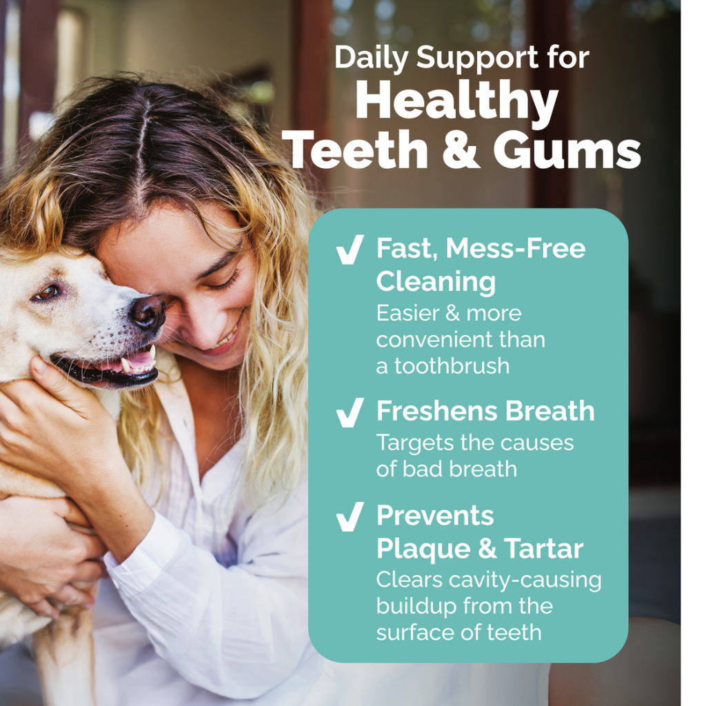 health teeth and gums of brown dog