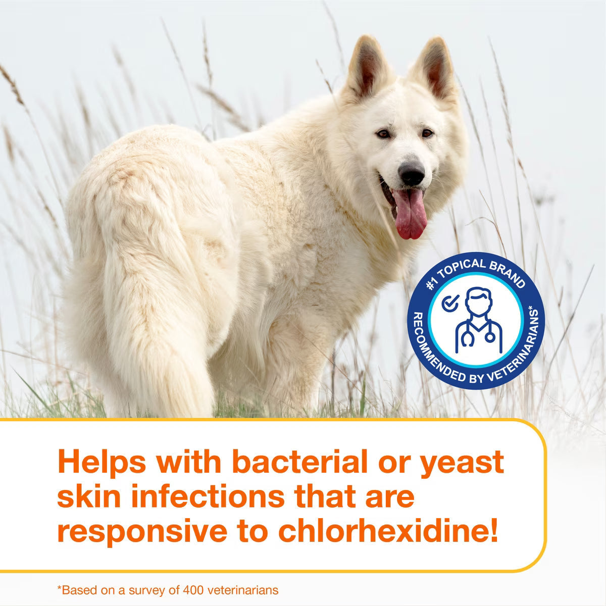 Douxo S3 PYO Antiseptic Antifungal Chlorhexidine Dog Mousse (5.1 oz) - Dog Grooming 7