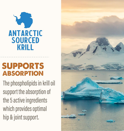 Grizzly Joint Aid Supplement For Dog - Dog Joint & Hip Supplements 6