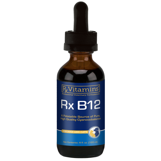 Rx Vitamins Rx B12 Liquid Digestive Supplement For Dogs and Cats (4 oz) - Dog & Cat Supplements & Vitamins 1