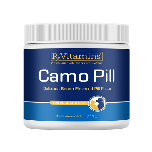 Rx Vitamins Camo Pill Bacon-Flavored Pill Paste for Dogs & Cats (4.2 oz) - Dog & Cat Supplements & Vitamins 1
