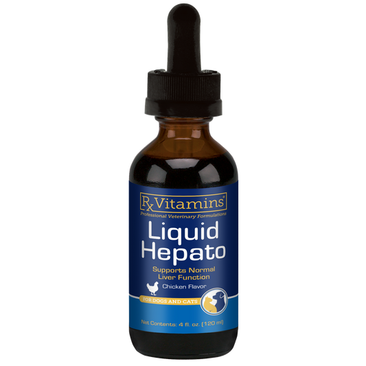Rx Vitamins Hepato Liquid Liver Supplement for Dogs & Cat -Chicken Flavor (4 oz) - Dog & Cat Supplements & Vitamins 1