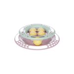 Trixie Cat Junior Kitten Circle Track Interactive Cat Toy - Cat Toys 1